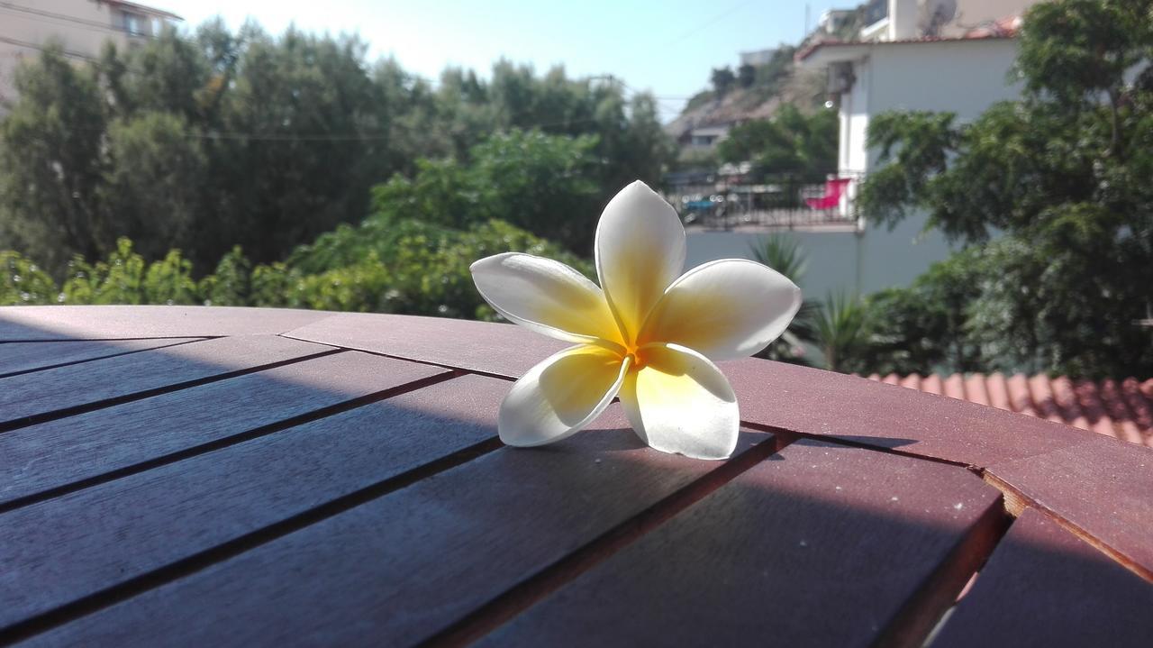 Plumeria Flowery Ágios Kírykos Exteriér fotografie